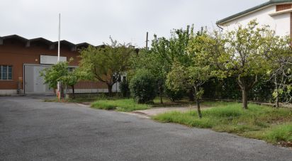 Capannone di 1.000 m² in Castelfranco di Sotto (56022)