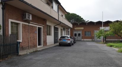 Capannone di 1.000 m² in Castelfranco di Sotto (56022)