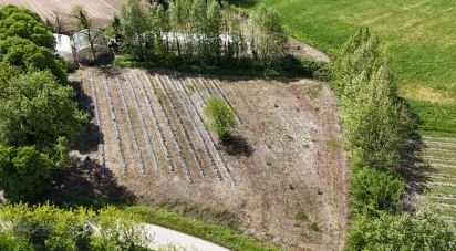 Terreno agricolo di 0 m² in Monzambano (46040)