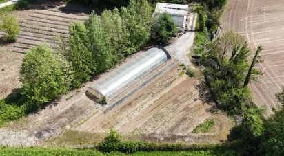 Terreno agricolo di 0 m² in Monzambano (46040)