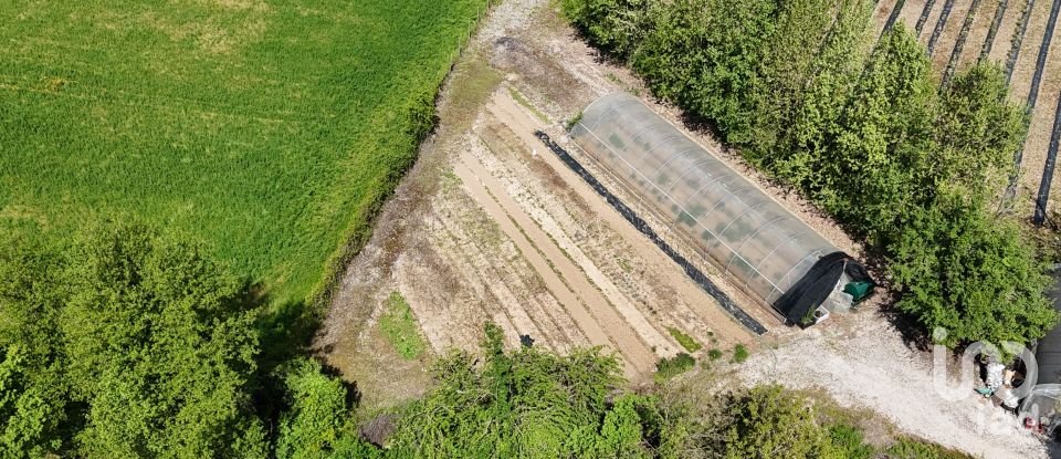 Terreno agricolo di 0 m² in Monzambano (46040)