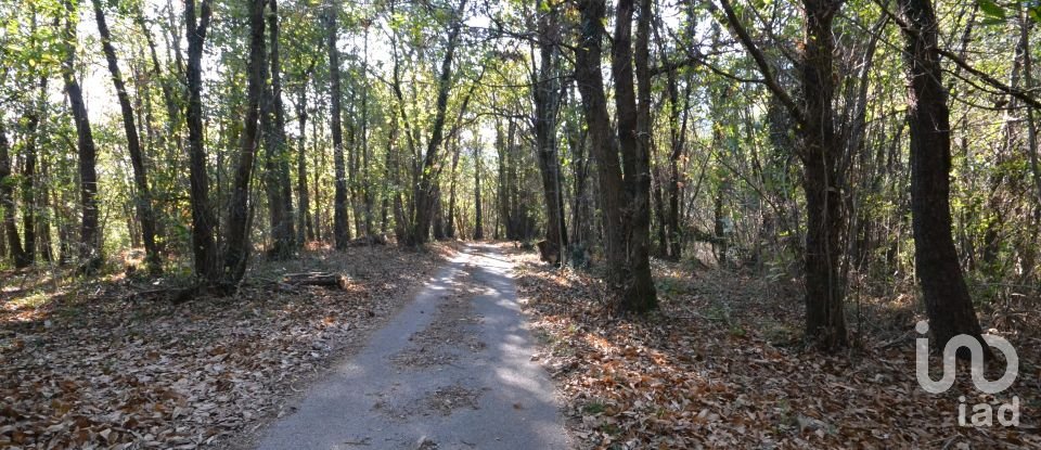 Land of 30,000 m² in Campomorone (16014)