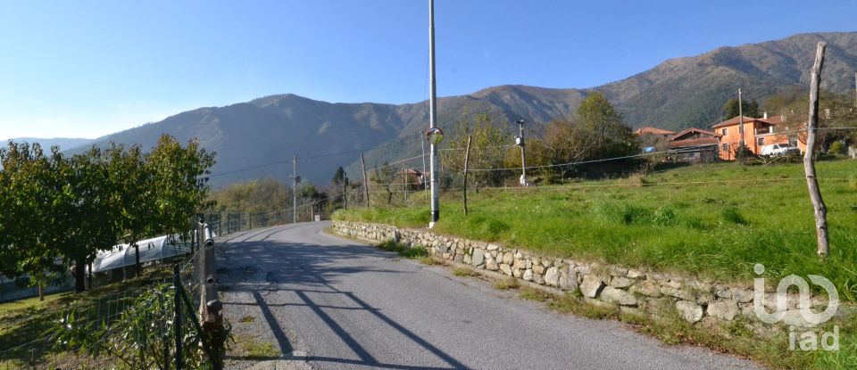 Land of 30,000 m² in Campomorone (16014)