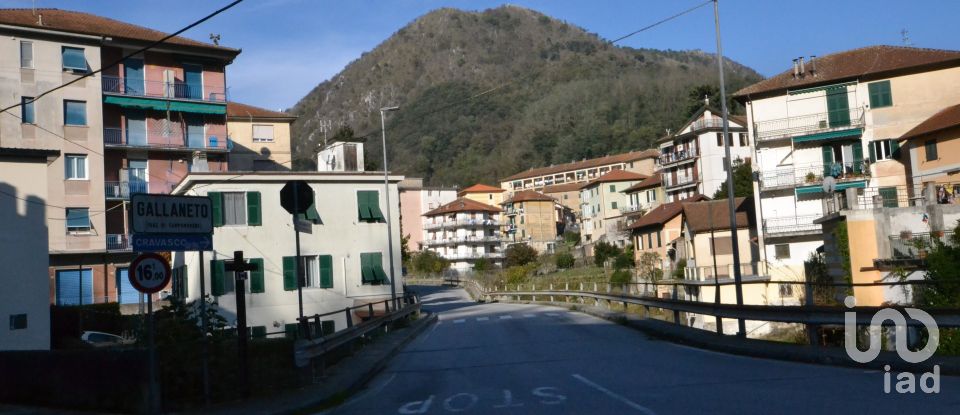 Land of 30,000 m² in Campomorone (16014)