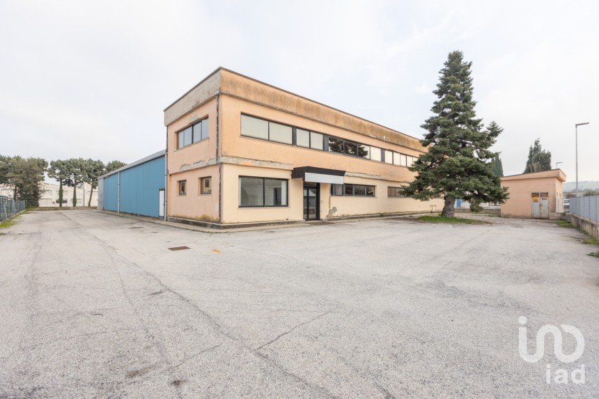 Capannone di 1.300 m² in Recanati (62019)