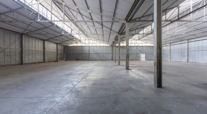 Capannone di 1.300 m² in Recanati (62019)