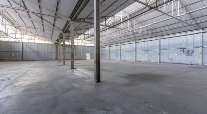 Capannone di 1.300 m² in Recanati (62019)