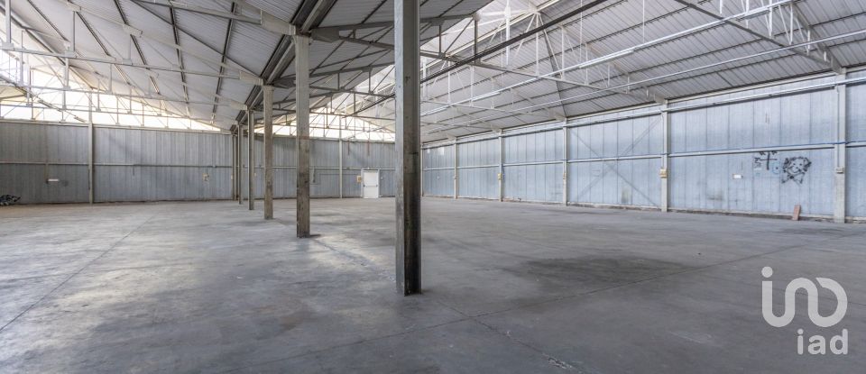 Capannone di 1.300 m² in Recanati (62019)