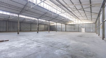 Capannone di 1.300 m² in Recanati (62019)