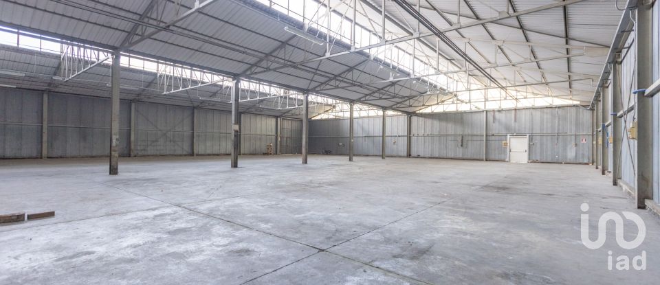 Capannone di 1.300 m² in Recanati (62019)