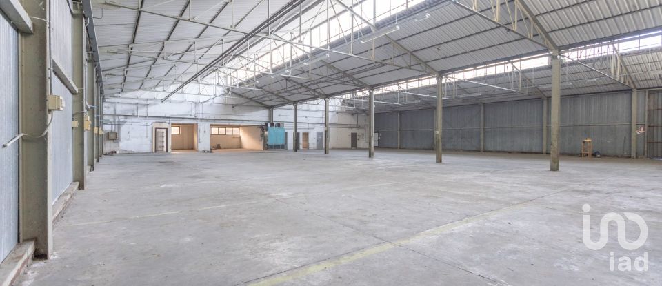 Capannone di 1.300 m² in Recanati (62019)