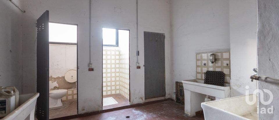 Capannone di 1.300 m² in Recanati (62019)