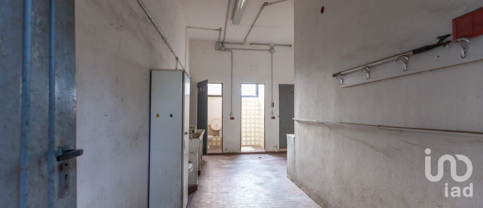 Capannone di 1.300 m² in Recanati (62019)