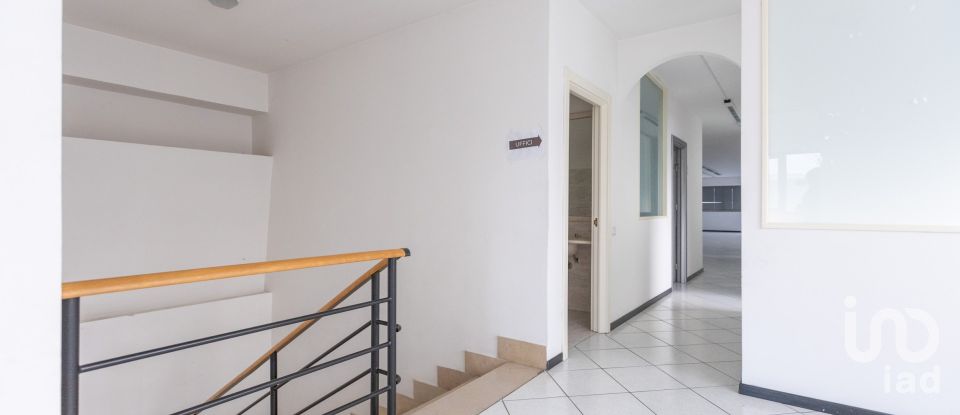 Capannone di 1.300 m² in Recanati (62019)