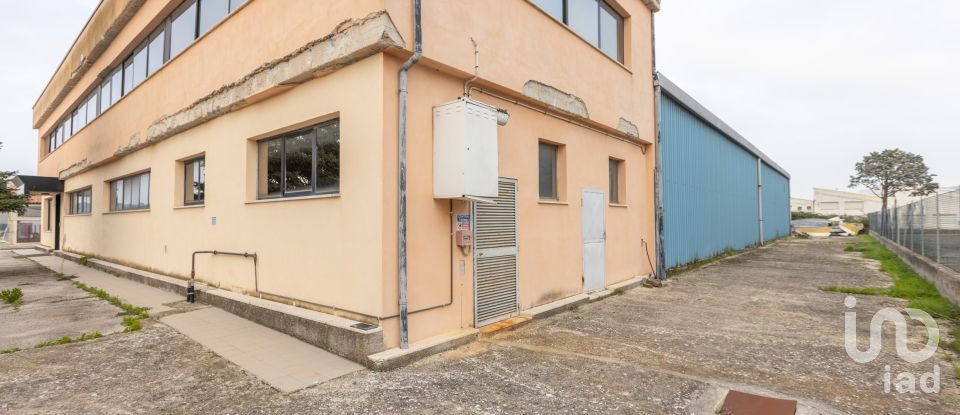 Capannone di 1.300 m² in Recanati (62019)