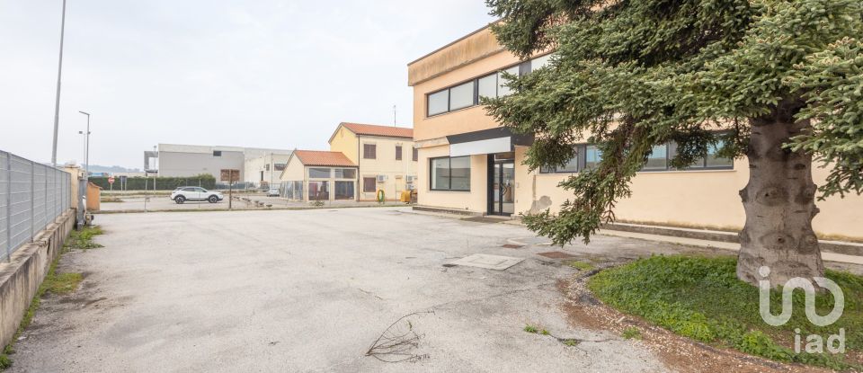 Capannone di 1.300 m² in Recanati (62019)