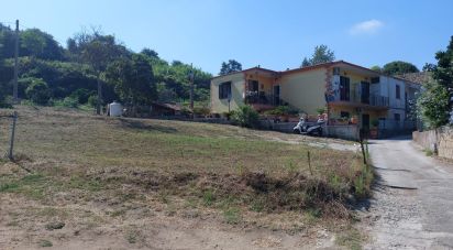 Terreno di 2.422 m² in Bacoli (80070)