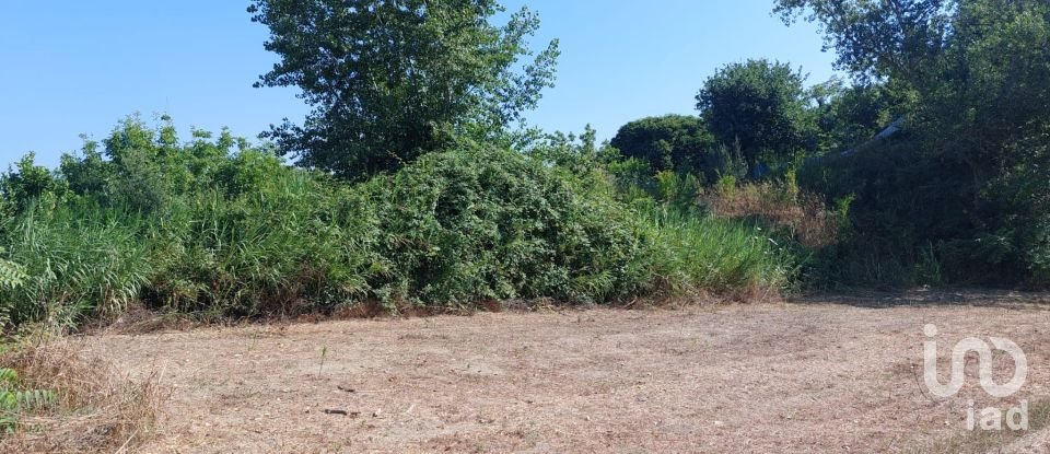 Terreno di 2.422 m² in Bacoli (80070)