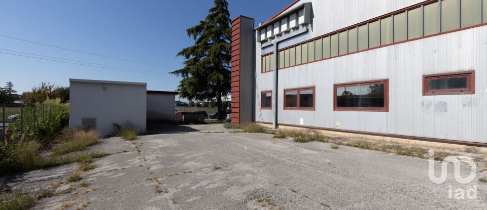 Capannone di 980 m² in Monte San Vito (60037)