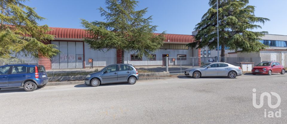 Capannone di 980 m² in Monte San Vito (60037)