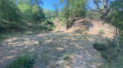 Land of 4,000 m² in Calice Ligure (17020)