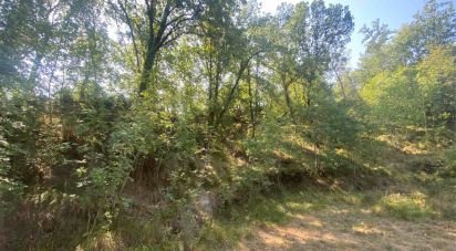 Land of 4,000 m² in Calice Ligure (17020)