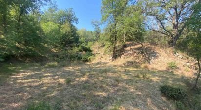 Land of 4,000 m² in Calice Ligure (17020)