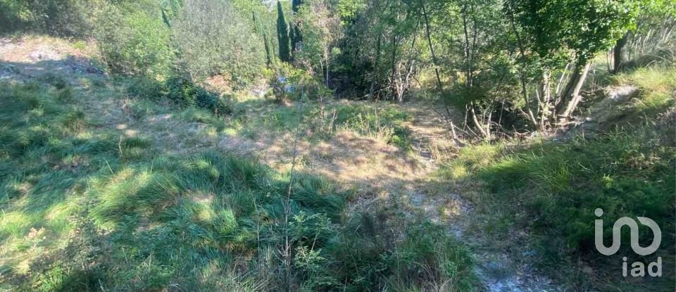 Land of 4,000 m² in Calice Ligure (17020)