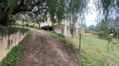 Villa 6 locali di 110 m² in Trabia (90019)