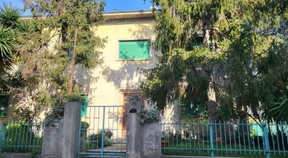 Casa indipendente 12 locali di 380 m² in Cascina (56021)