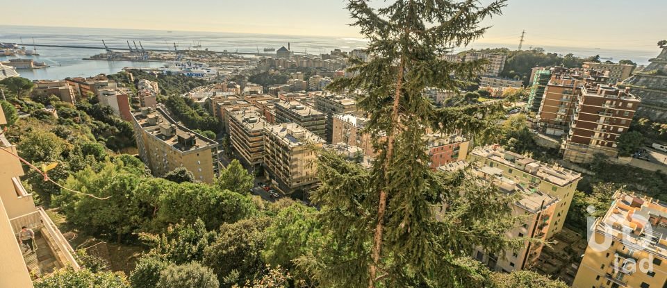 Appartamento 5 locali di 130 m² a Genova (16127)