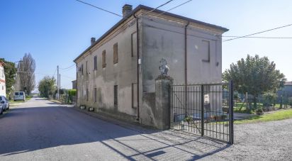 House 7 rooms of 234 m² in Migliarino (44027)