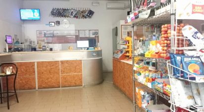 Attività locali di 120 m² in Fano (61032)