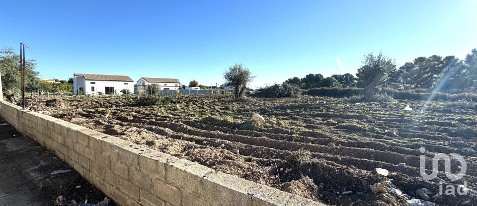 Terreno di 2.100 m² in Avola (96012)