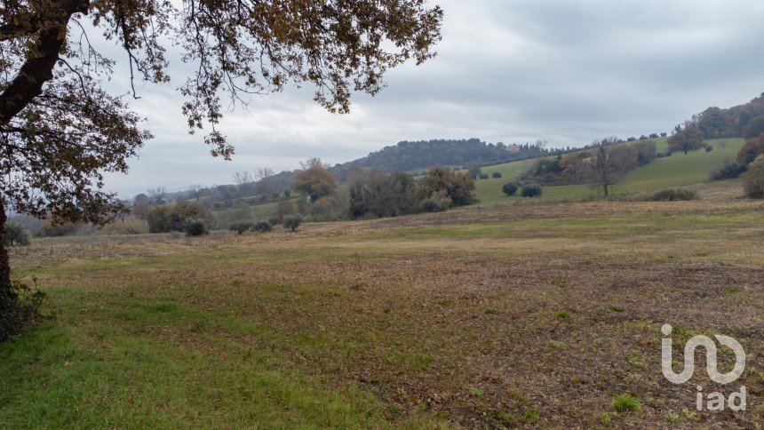 Terreno residenziale di 10.060 m² in Offagna (60020)