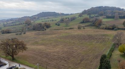 Terreno residenziale di 10.060 m² in Offagna (60020)