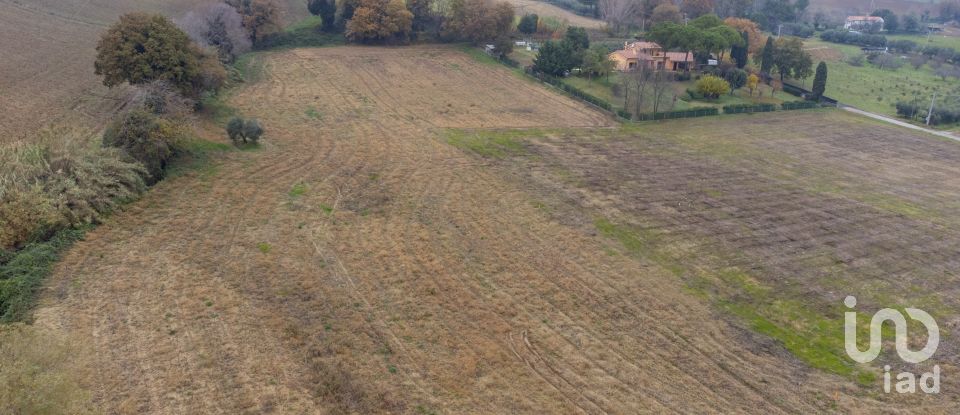 Terreno residenziale di 10.060 m² in Offagna (60020)