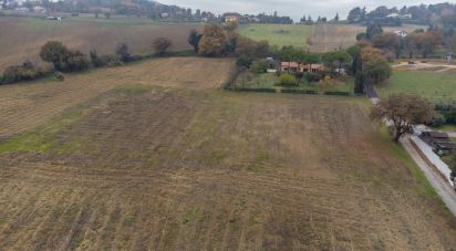 Terreno residenziale di 10.060 m² in Offagna (60020)