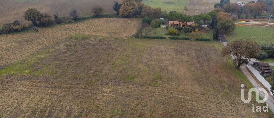 Terreno residenziale di 10.060 m² in Offagna (60020)