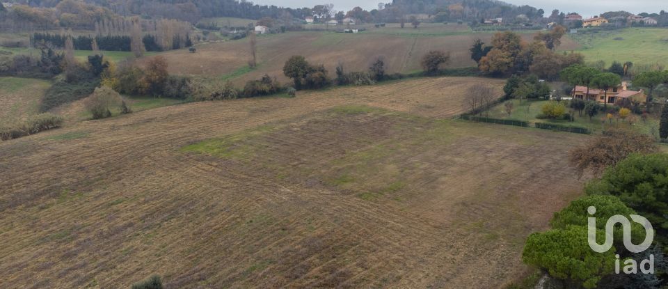 Terreno residenziale di 10.060 m² in Offagna (60020)