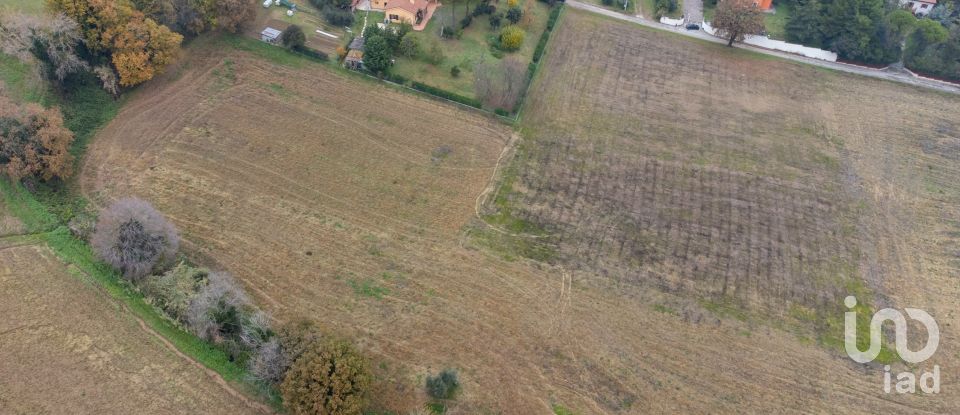 Terreno residenziale di 10.060 m² in Offagna (60020)