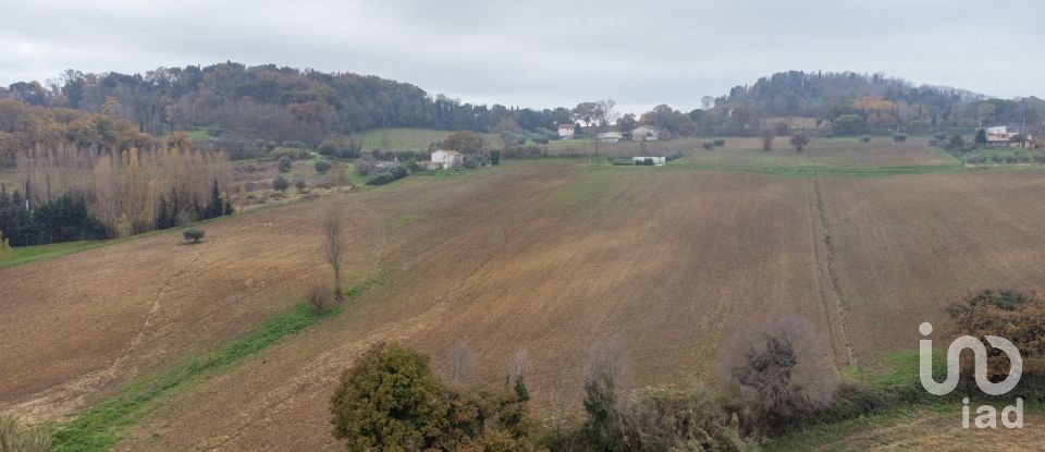 Terreno residenziale di 10.060 m² in Offagna (60020)