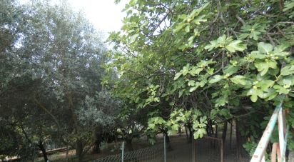 Block of flats in Sesta Godano (19020) of 180 m²