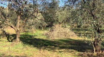 Agricultural land of 4,000 m² in Pistoia (51100)