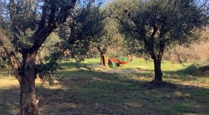 Agricultural land of 4,000 m² in Pistoia (51100)