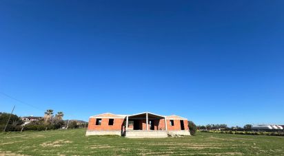 Varie superfici di 5.000 m² in Cardedu (08040)