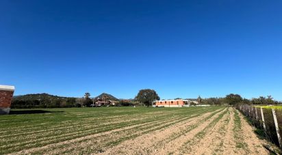 Varie superfici di 5.000 m² in Cardedu (08040)