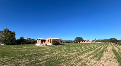 Varie superfici di 5.000 m² in Cardedu (08040)