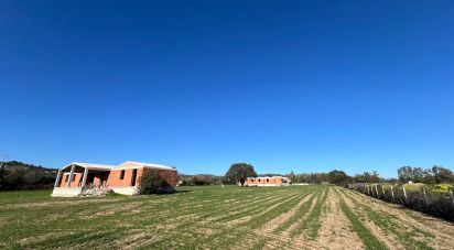 Varie superfici di 5.000 m² in Cardedu (08040)