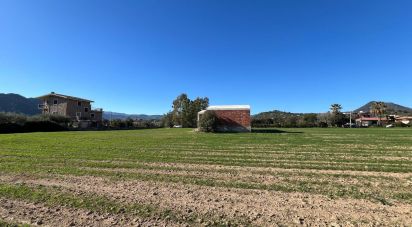 Varie superfici di 5.000 m² in Cardedu (08040)